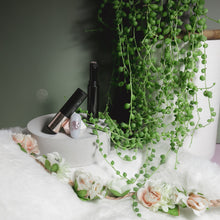 Load image into Gallery viewer, Rosé TR04 - Japanese Antique Romance Air Cushion Magic Powder Pen