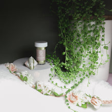 Load image into Gallery viewer, Matte Ginger - Lily Gel by Vivian Perfection Foil