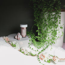 Load image into Gallery viewer, Matte Rose - Lily Gel by Vivian Perfection Foil