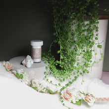 Load image into Gallery viewer, Pure White - Lily Gel by Vivian Perfection Foil